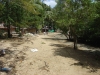 DSC02343.JPG