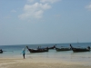 DSC02431.JPG